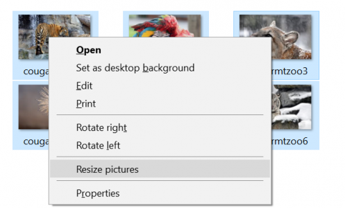 Image Resizer para Windows